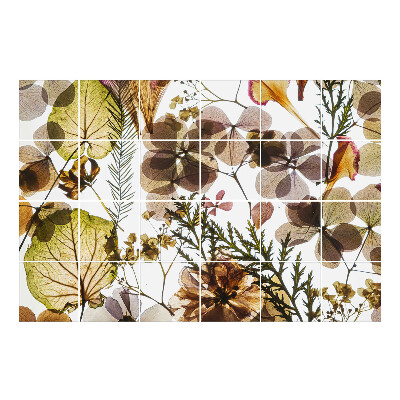 Autocolante gresie si faianta Compoziții florale de plante