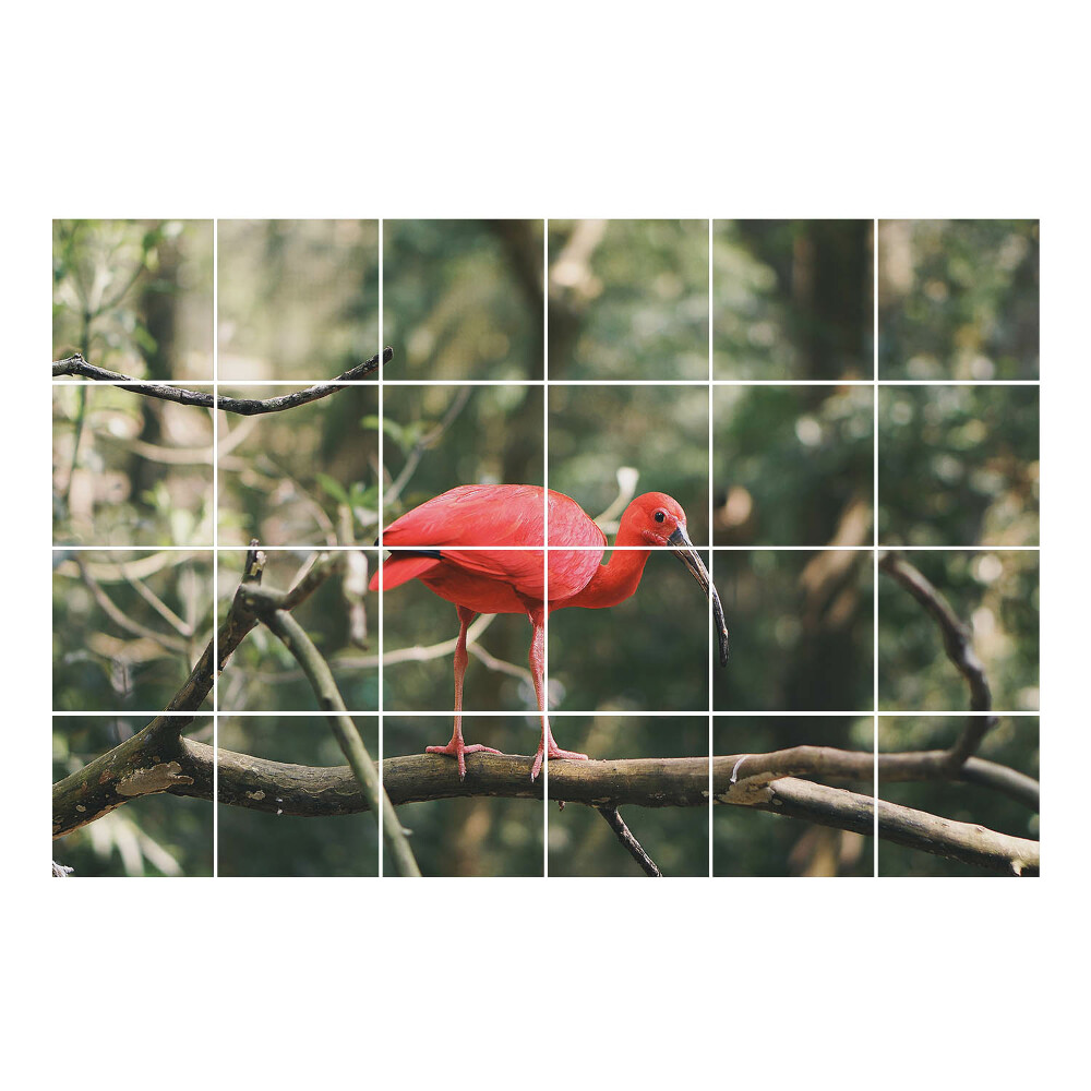 Autocolante gresie si faianta Ibis pe o creangă