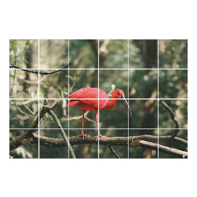 Autocolante gresie si faianta Ibis pe o creangă