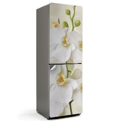 Folie pentru frigider Detalii florale de orhidee