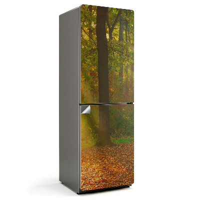 Autocolant pentru frigider Peisaj magic de pădure