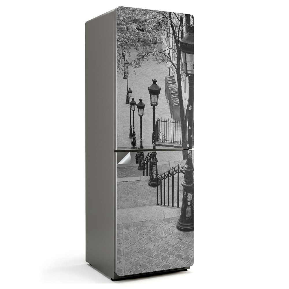 Folie frigider Felinare fermecătoare în oraș