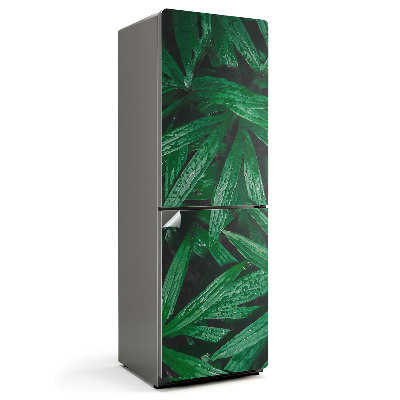 Folie frigider Frunze cu picături de apă