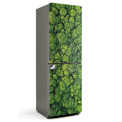 Folie frigider O vedere de sus a unei păduri dense