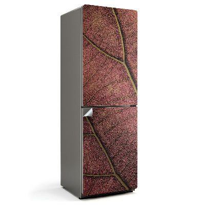 Folie pentru frigider Textura frunzei cu nervuri