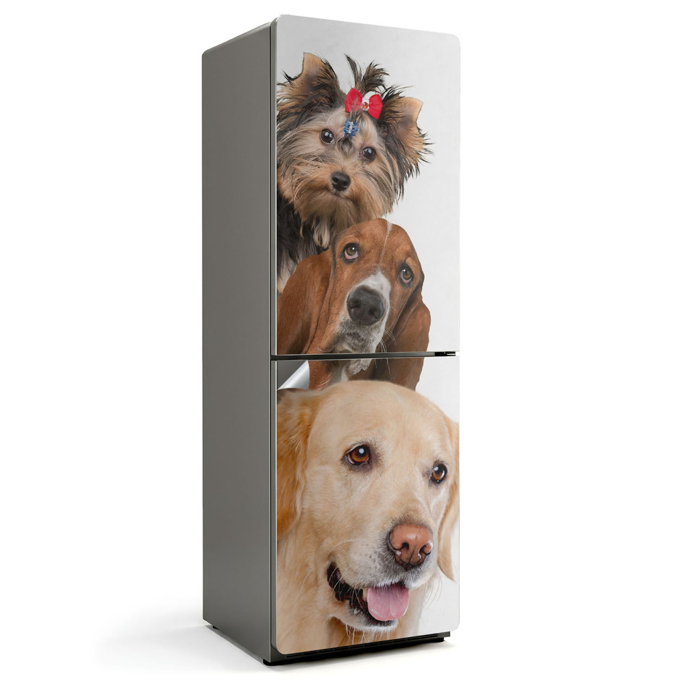 Folie frigider Trei câini într-un cadru