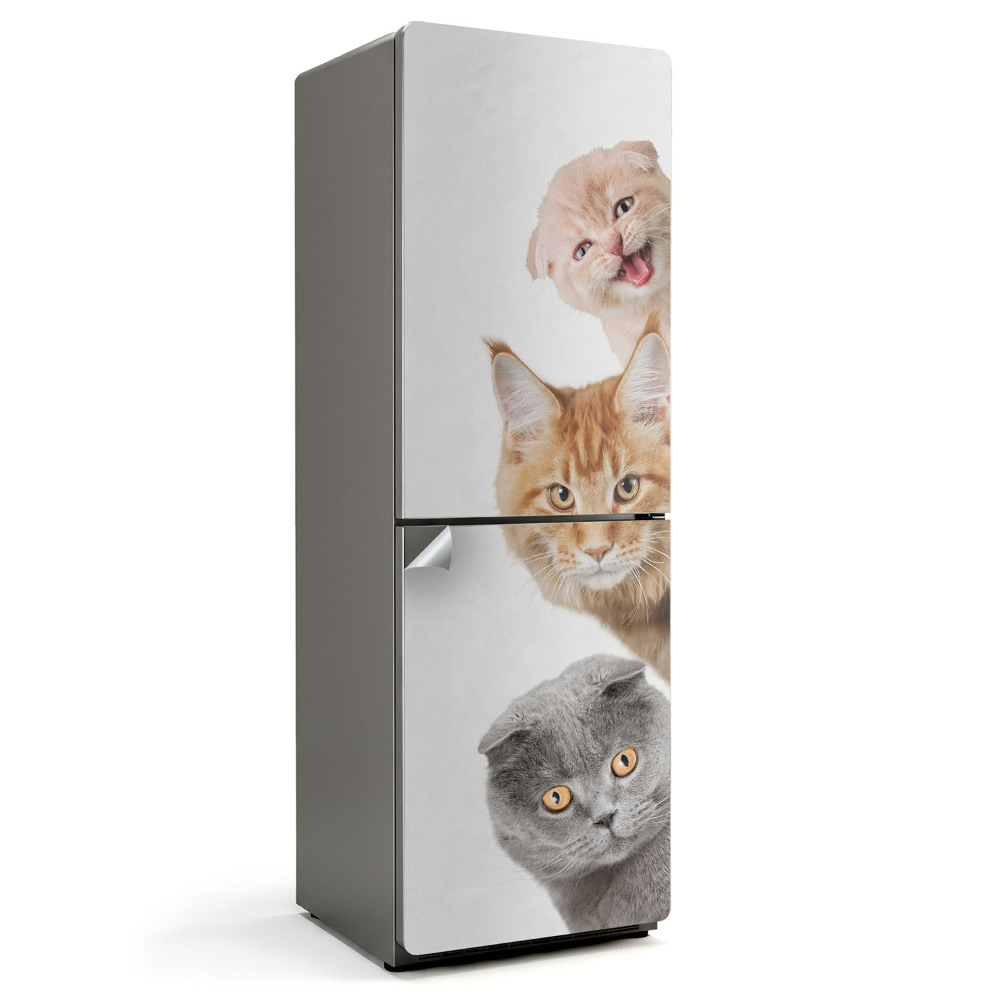 Folie pentru frigider Pisici drăguțe la coadă