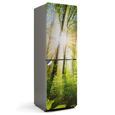 Folie pentru frigider Raze străpungătoare ale soarelui