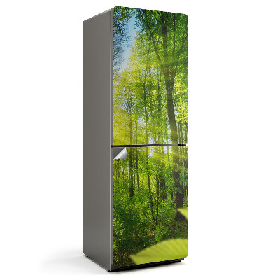 Autocolant pentru frigider Razele soarelui în pădure