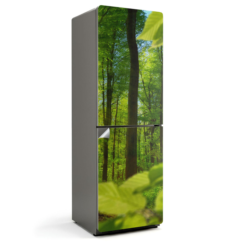 Folie frigider Pădure verde la soare