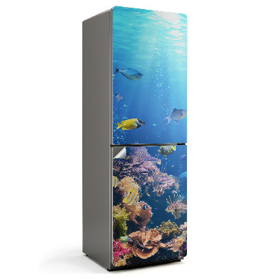 Folie pentru frigider Lumea subacvatică a coralilor