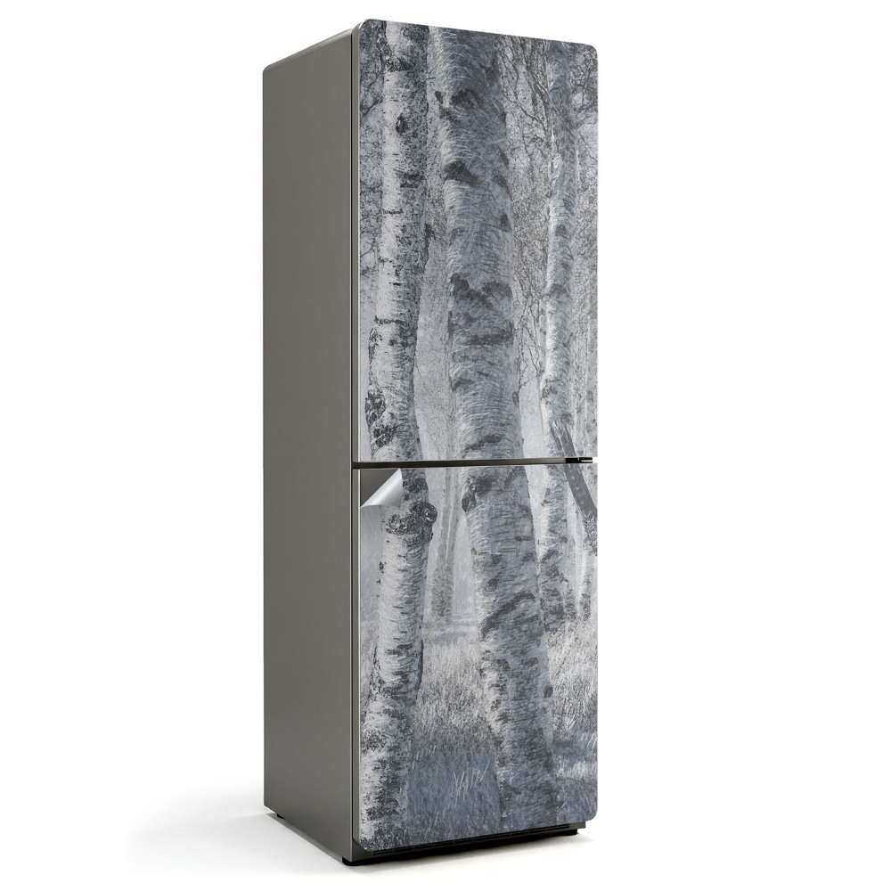 Folie frigider Pădure de mesteacăn în ceață