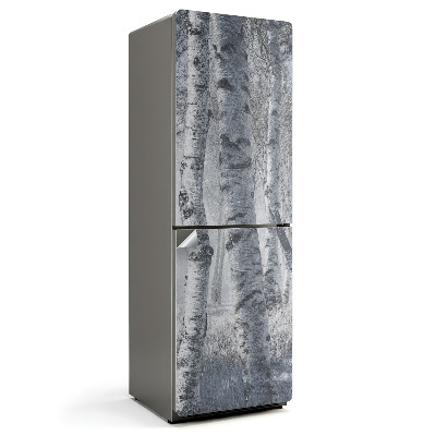 Folie frigider Pădure de mesteacăn în ceață