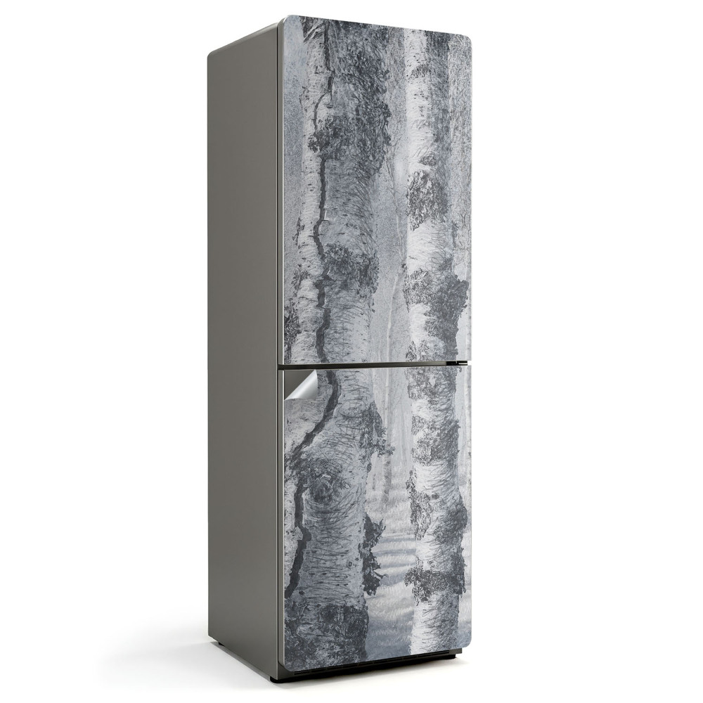 Folie pentru frigider Pădure de mesteacăn în ceață