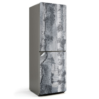 Folie pentru frigider Pădure de mesteacăn în ceață