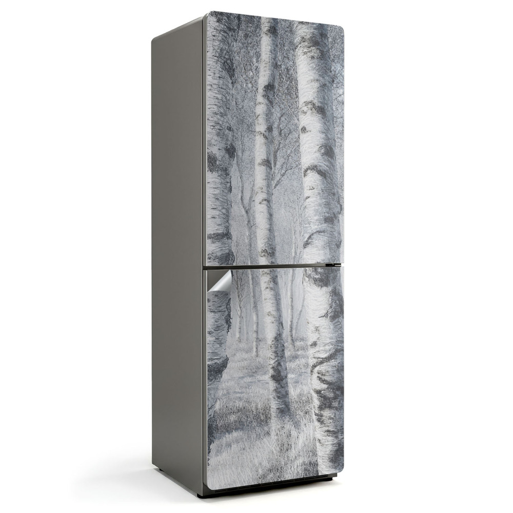 Autocolant pentru frigider Peisaj forestier cu copaci