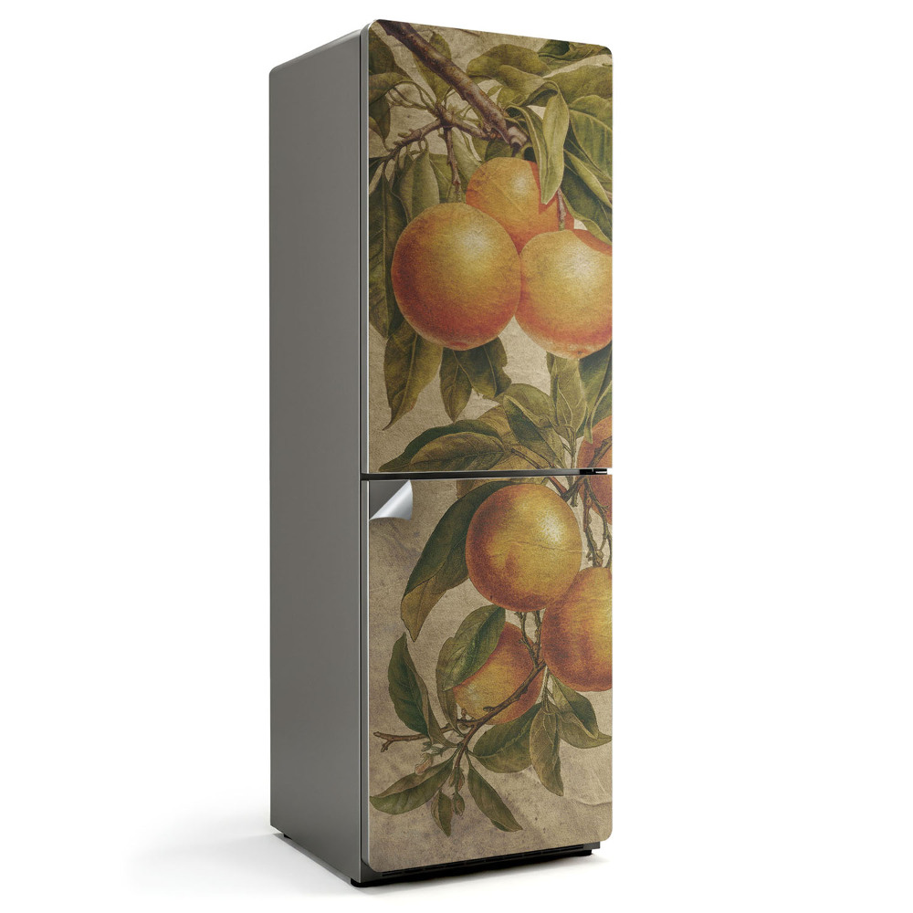 Folie frigider O ramură cu citrice