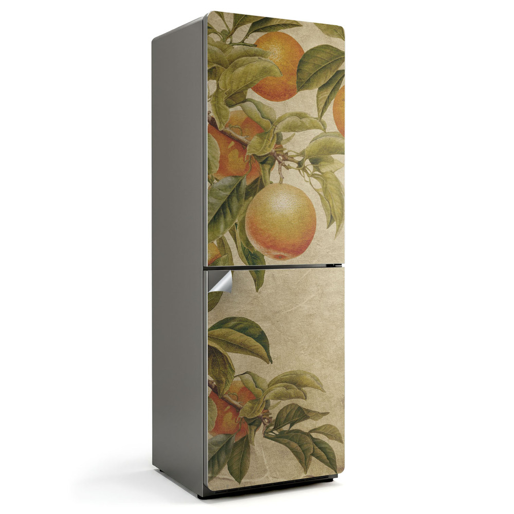 Folie pentru frigider Ramuri cu fructe