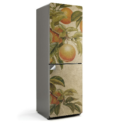 Folie pentru frigider Ramuri cu fructe