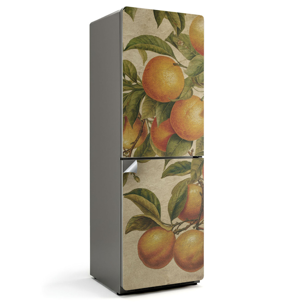 Autocolant pentru frigider Fructe pe ramură