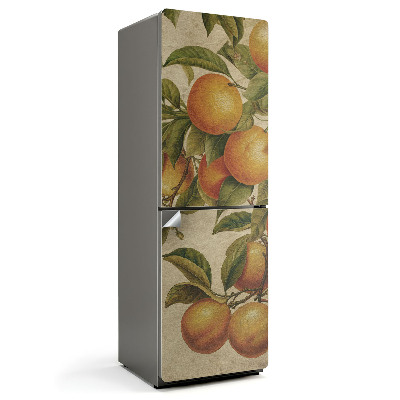 Autocolant pentru frigider Fructe pe ramură