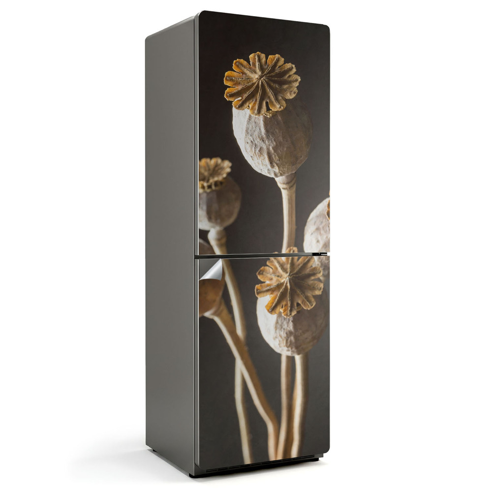 Folie frigider Maci uscați într-o vază