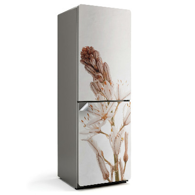 Autocolant pentru frigider Prim-plan delicat al unei plante