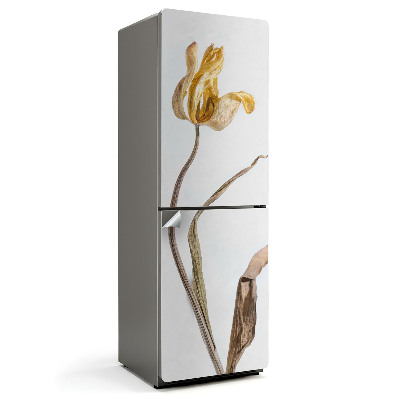 Folie frigider O floare de lalea ofilită