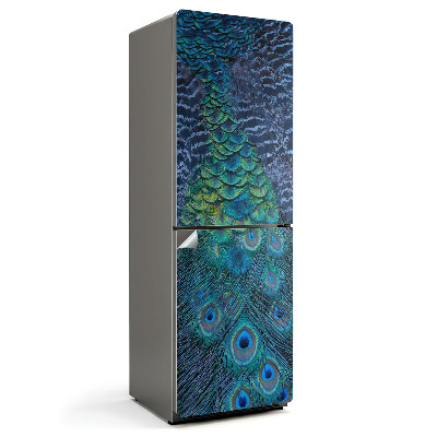 Folie frigider Pene de păun în detaliu