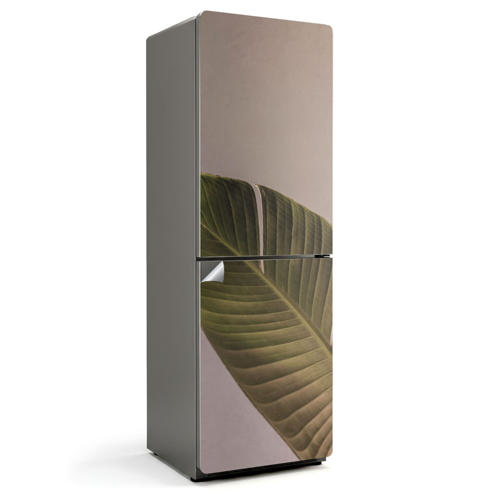 Folie frigider O frunză cu nervuri distincte