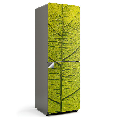 Autocolant pentru frigider Detaliu al unei frunze de plantă