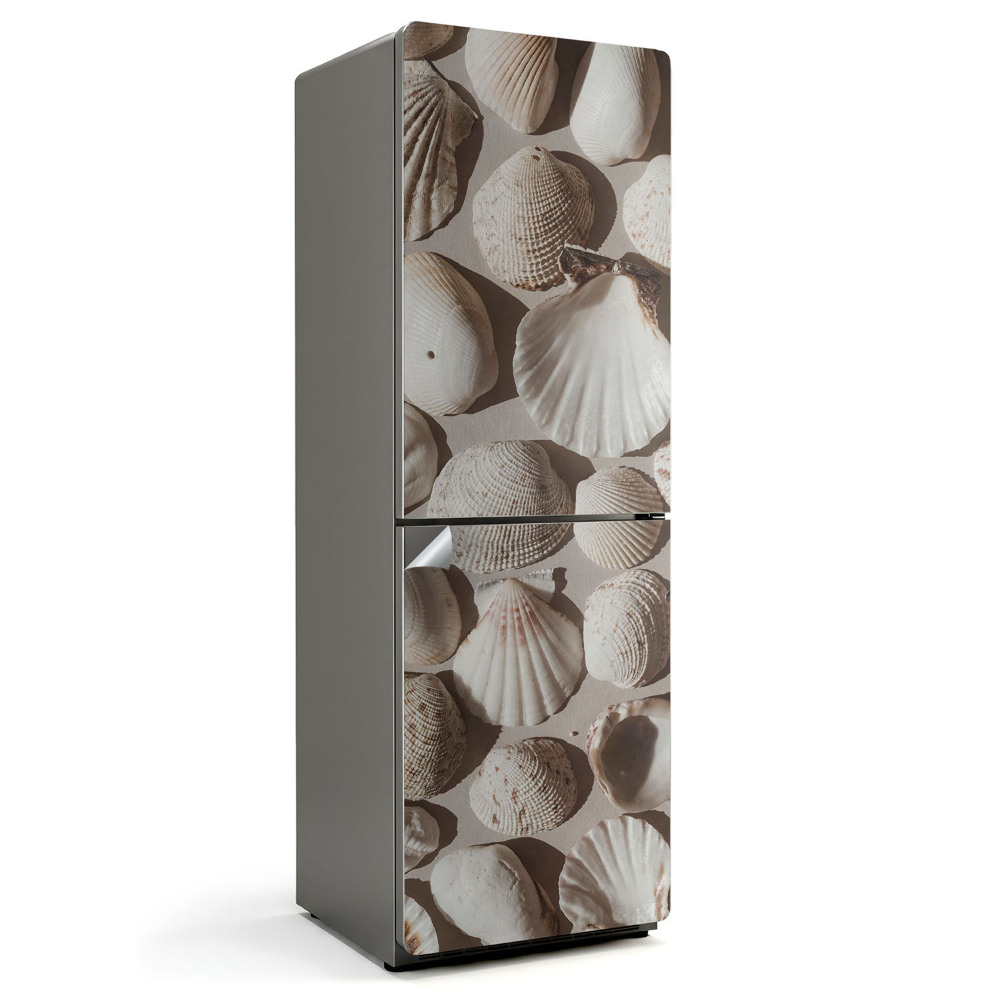 Folie frigider o compoziție făcută din scoici