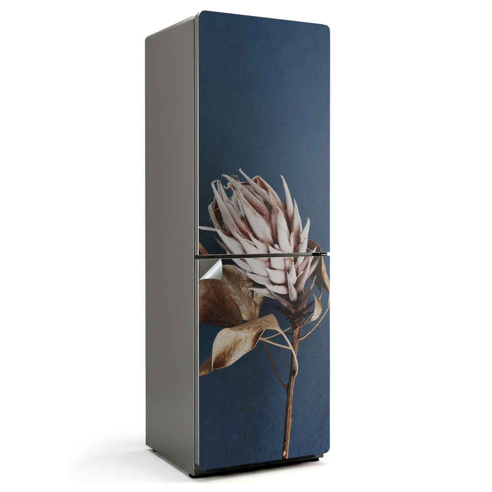 Folie pentru frigider Prim-plan al unei plante uscate