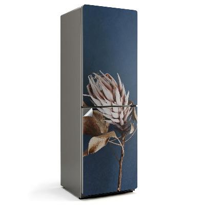 Folie pentru frigider Prim-plan al unei plante uscate