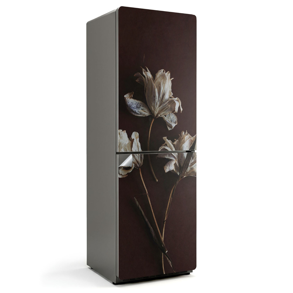 Folie frigider Flori uscate în detaliu