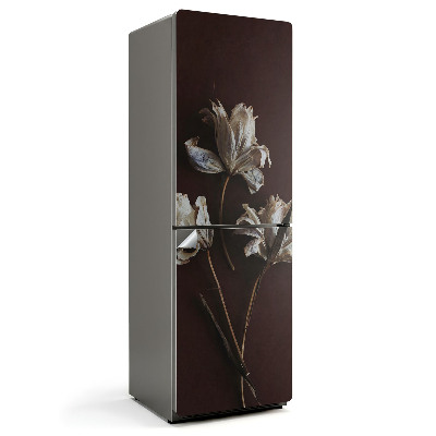 Folie frigider Flori uscate în detaliu