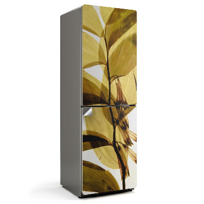 Autocolant pentru frigider Frunze și flori transparente