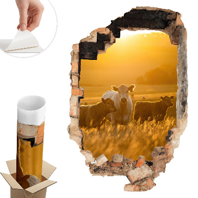Autocolant gaură în perete 40x60 Peisaj rural