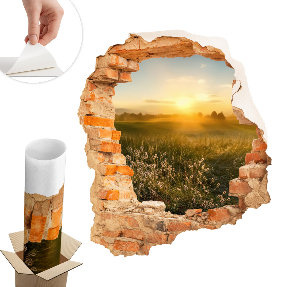 Autocolant gaură în perete 51x60 Pajiște însorită