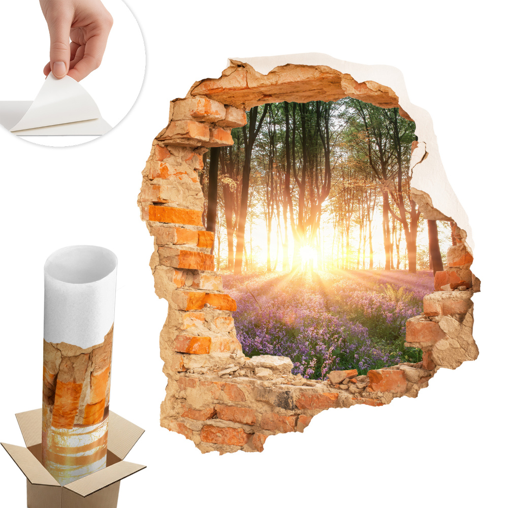 Autocolant gaură în perete 51x60 Descoperire în pădure