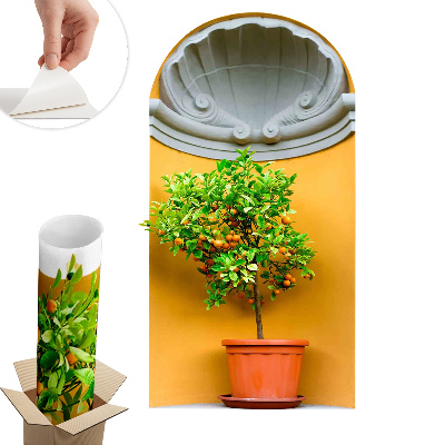 Autocolant 3d perete 33x60 Portocal