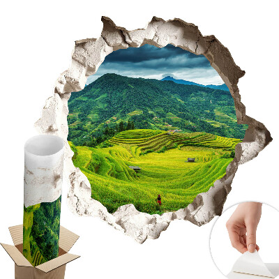 Autocolant gaură în perete 80x76 Terase verzi