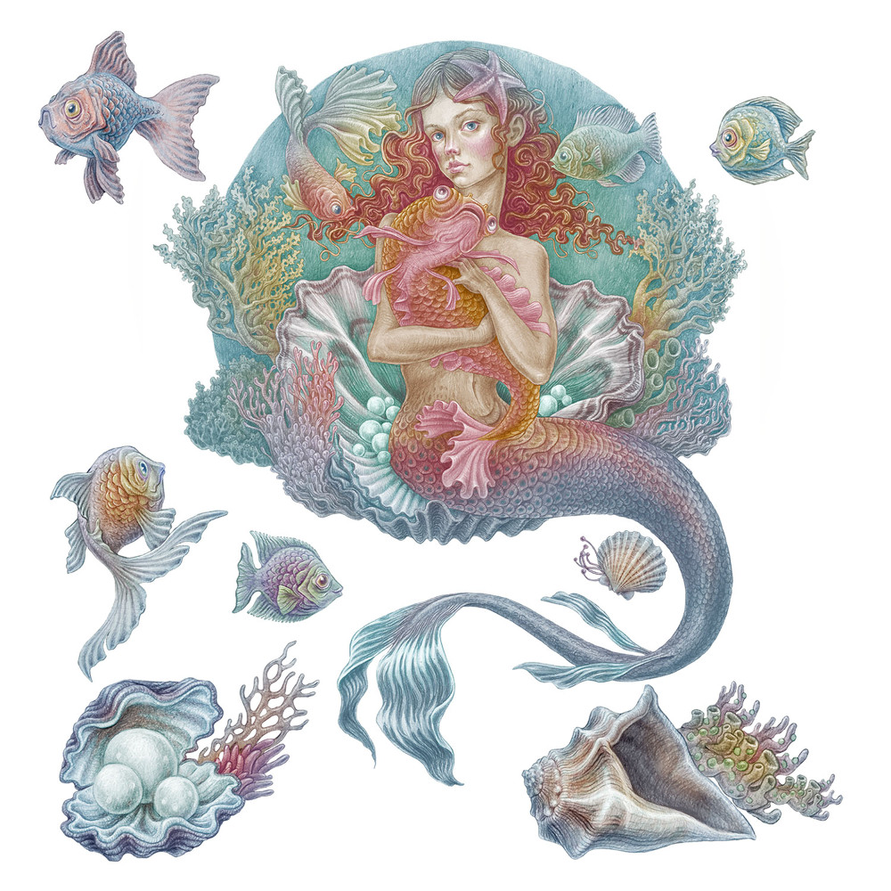 Stickere perete copii 80x79 Scoici de pește într-un motiv de desen de basm