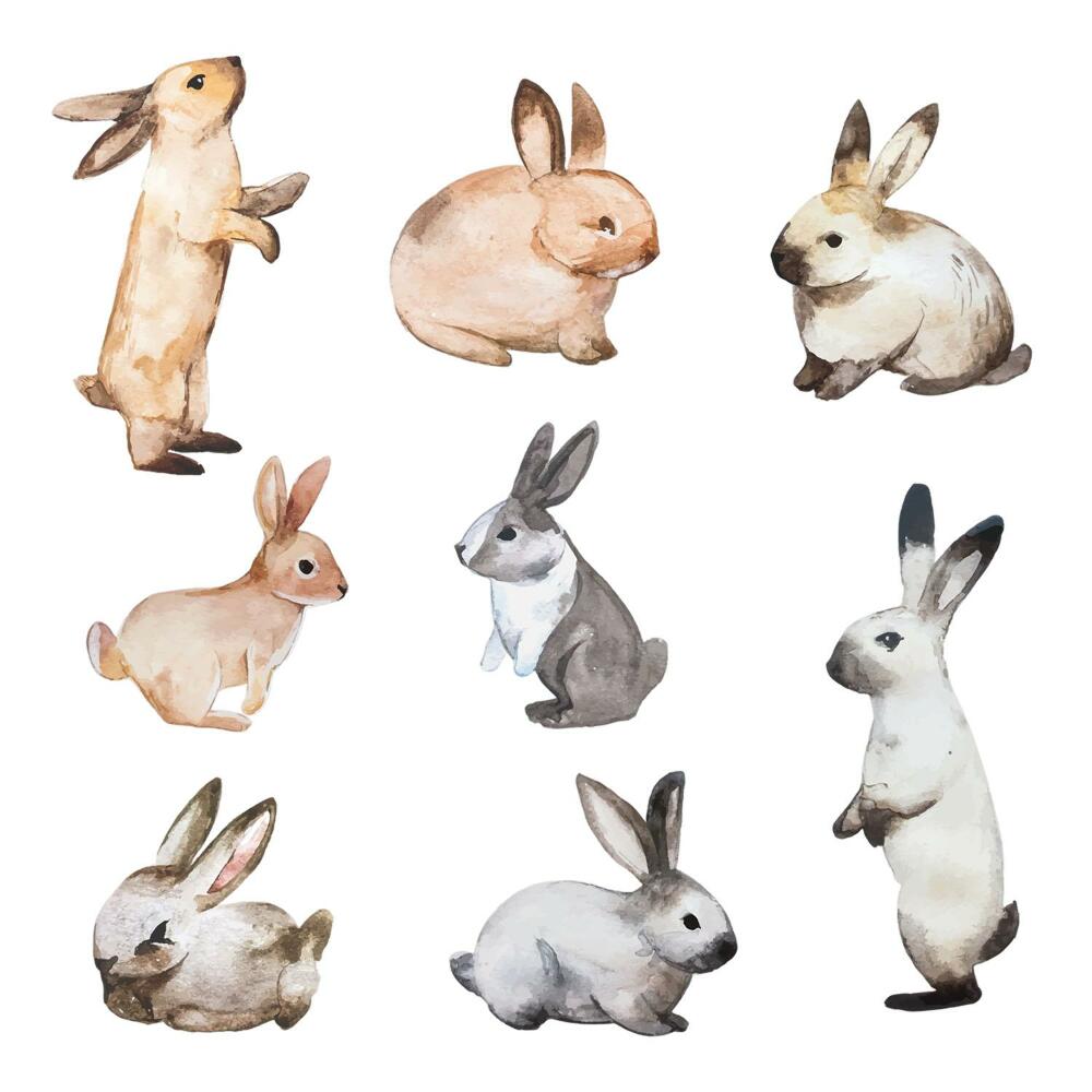 Autocolante pereți copii100x181 Iepurași într-un stil delicat de acuarelă