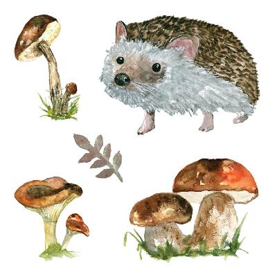 Autocolante pereți copii100x155 Ciuperci în acuarelă și un arici într-un peisaj forestier