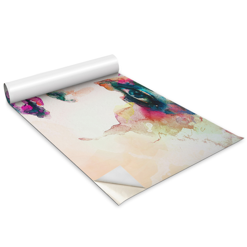 Folie autocolanta mobila Față pictată