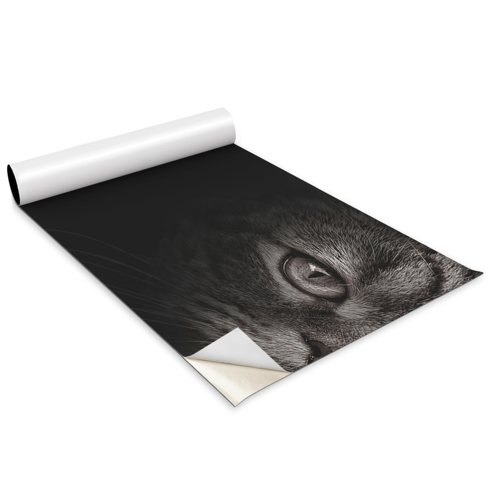 Folie autoadeziva pentru mobila Câine și pisică